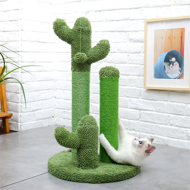 Cat Scratching Post Cactus