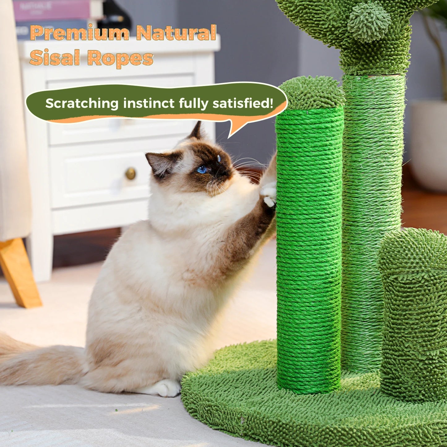 Cat Scratching Post Cactus