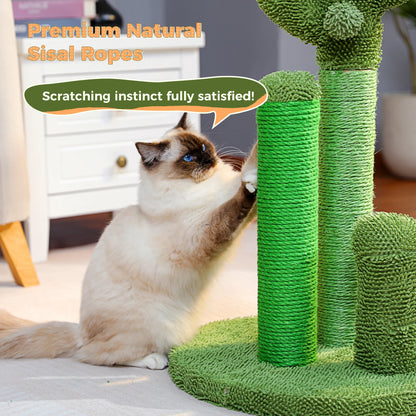 Cat Scratching Post Cactus