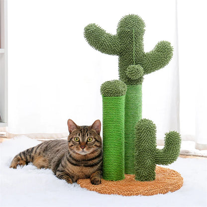 Cat Scratching Post Cactus