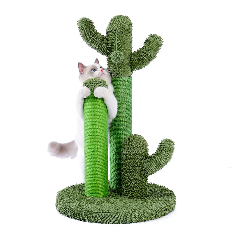 Cat Scratching Post Cactus