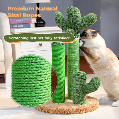 Cat Scratching Post Cactus