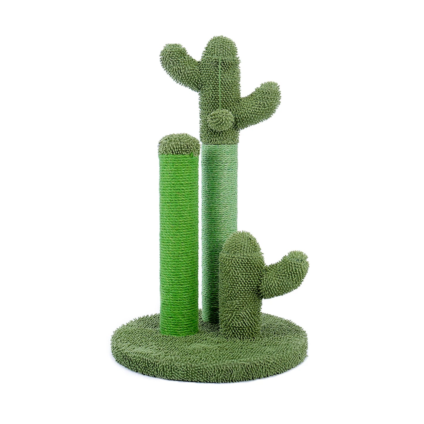 Cat Scratching Post Cactus