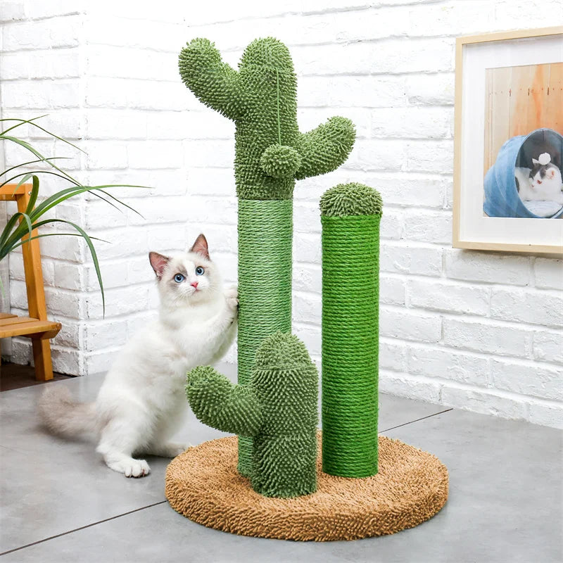 Cat Scratching Post Cactus