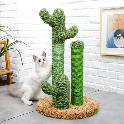 Cat Scratching Post Cactus